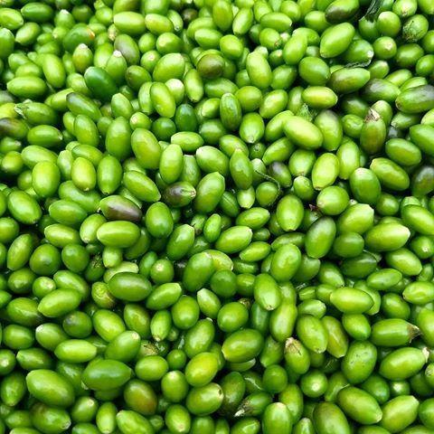 Imagem de Pimenta Cumari Verde Em Conserva 300g Melhor Qualidade