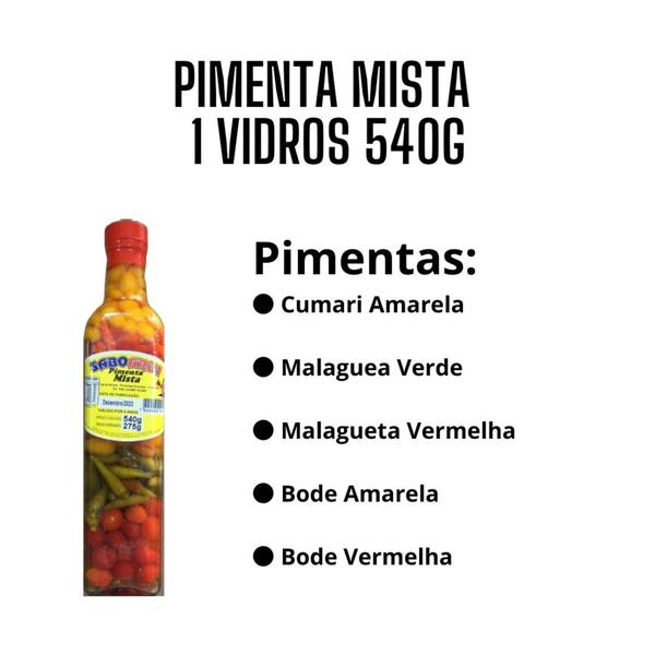 Imagem de Pimenta mista com 5 sortidas 540g