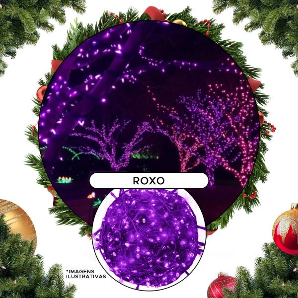 Imagem de Pisca Micro 100 Led 8 Função Decoração Natalina Iluminação Decoração Natalina