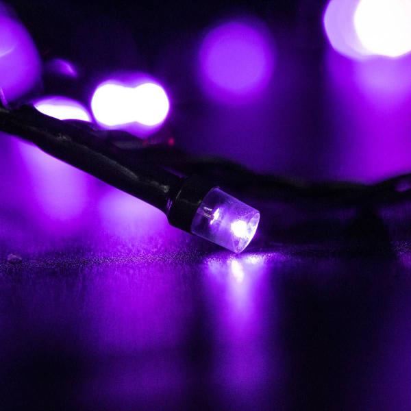 Imagem de Pisca Pisca Varal de Luz Decoração Para Natal 100 LEDs 8 Metros Roxo 127V 220V Haiz