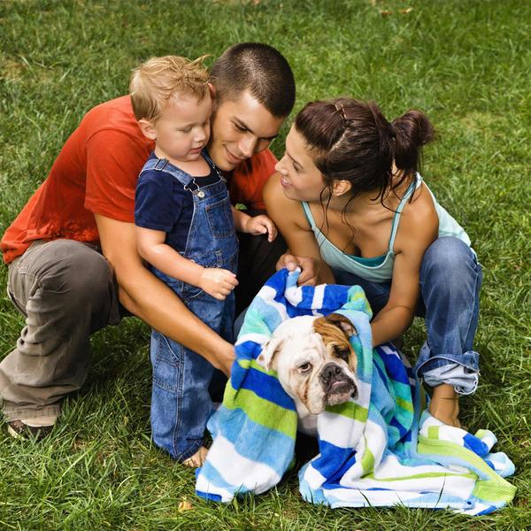 Piscina para cães PETMAKER portátil dobrável 77,5 cm com dreno de 40 libras Imagem de Piscina para cães PETMAKER portátil dobrável 77,5 cm com dreno de 40 libras