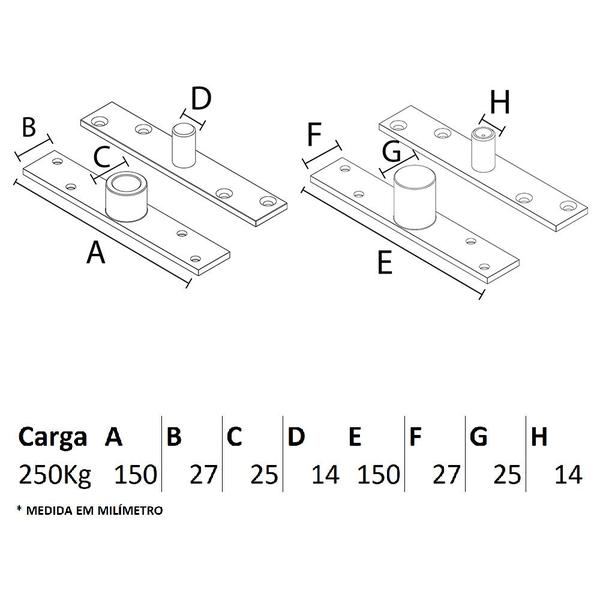 Imagem de Pivot IL 300 para porta - Polido - 250KG