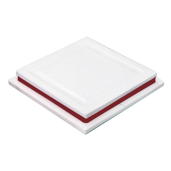 Imagem de Placa anti-formiga 12x12cm STM Plastic