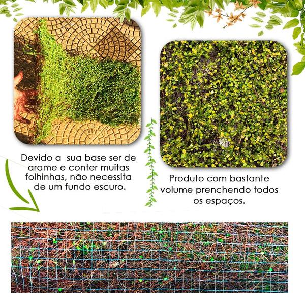 Placa Grama Artificial Muro Inglês Jardim Vertical 90x40cm Imagem de Placa Grama Artificial Muro Inglês Jardim Vertical 90x40cm