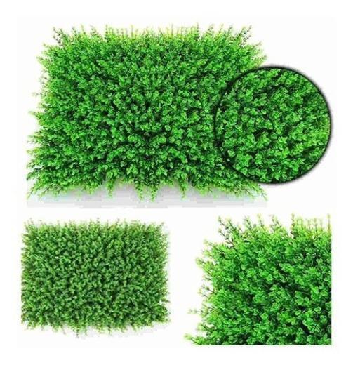 Placa Grama Samambaia Cheia 40X60 Jardim Vertical Artificial - Thlrio Imagem de Placa Grama Samambaia Cheia 40X60 Jardim Vertical Artificial
