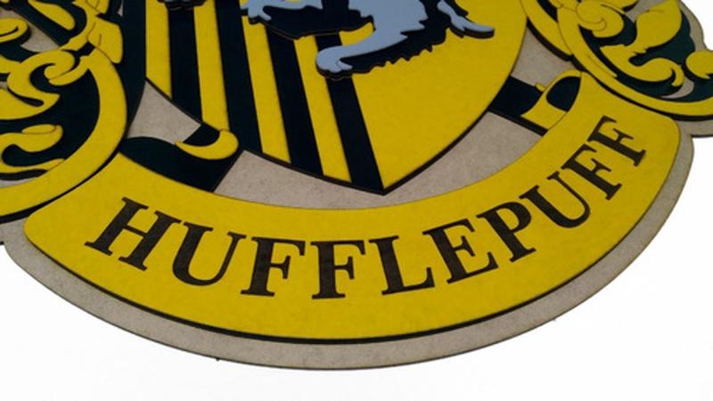 Imagem de Placa Relevo Harry Potter Hogwarts Lufa-lufa Hufflepuff 60cm