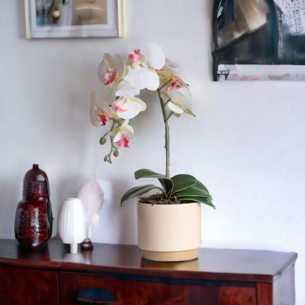 Imagem de Planta Arranjo Artificial Orquídea Realista Vaso Cerâmica