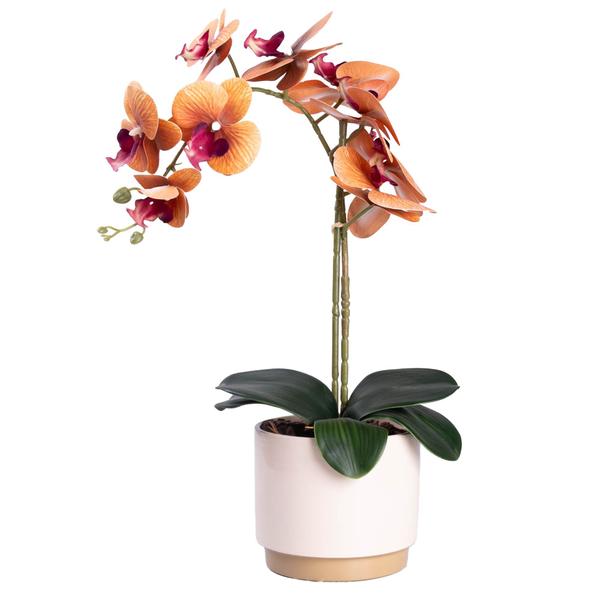 Imagem de Planta Arranjo Artificial Orquídea Realista Vaso Cerâmica