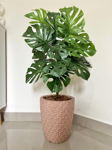 Planta Artifical Costela De Adão +vaso Polietileno Completo - PlantaImport Imagem de Planta Artifical Costela De Adão +vaso Polietileno Completo