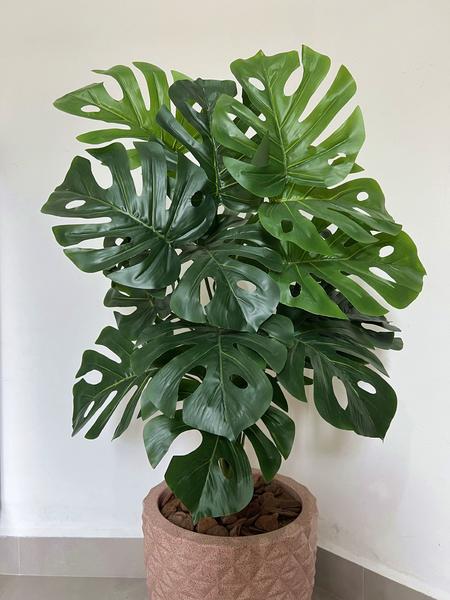 Planta Artifical Costela De Adão +vaso Polietileno Completo - PlantaImport Imagem de Planta Artifical Costela De Adão +vaso Polietileno Completo