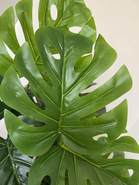 Planta Artifical Costela De Adão +vaso Polietileno Completo - PlantaImport Imagem de Planta Artifical Costela De Adão +vaso Polietileno Completo