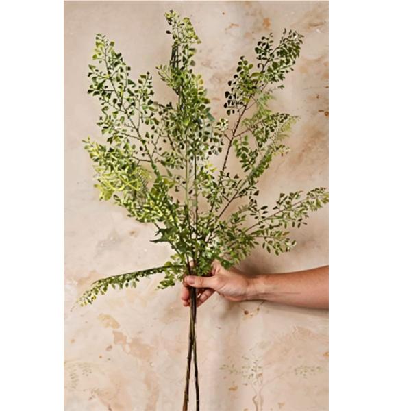 Planta Artificial Avenca 75cm Com 12 Galhos Toque Real - Espaço Outlet Imagem de Planta Artificial Avenca 75cm Com 12 Galhos Toque Real