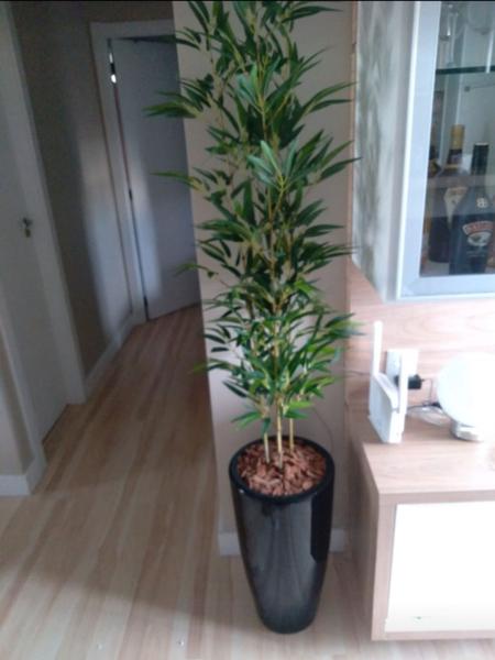 Imagem de Planta artificial Bambu vertical 4 hastes 1mt o vaso não acompanha