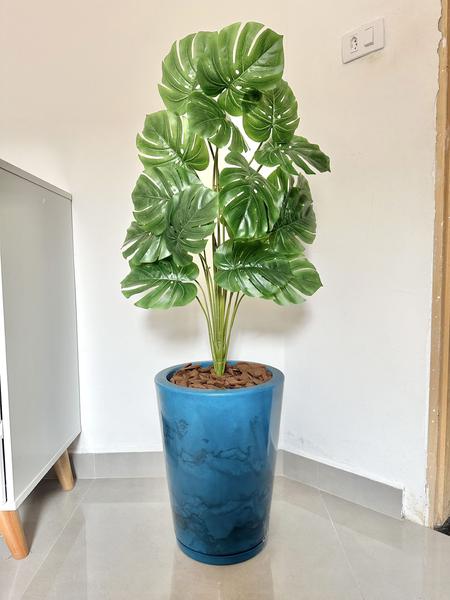 Imagem de Planta Artificial Costela Com Vaso Cone Polietileno Polido