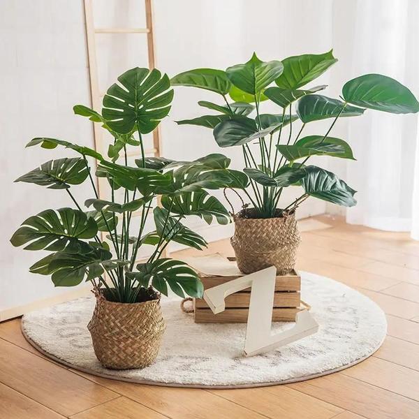 Imagem de Planta Artificial de Tartaruga Grande - Folhagem e Flor para Decoração