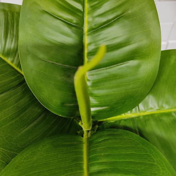 Imagem de Planta Artificial Ficus Lyrata Verde Toque Real com Vaso Decorativo