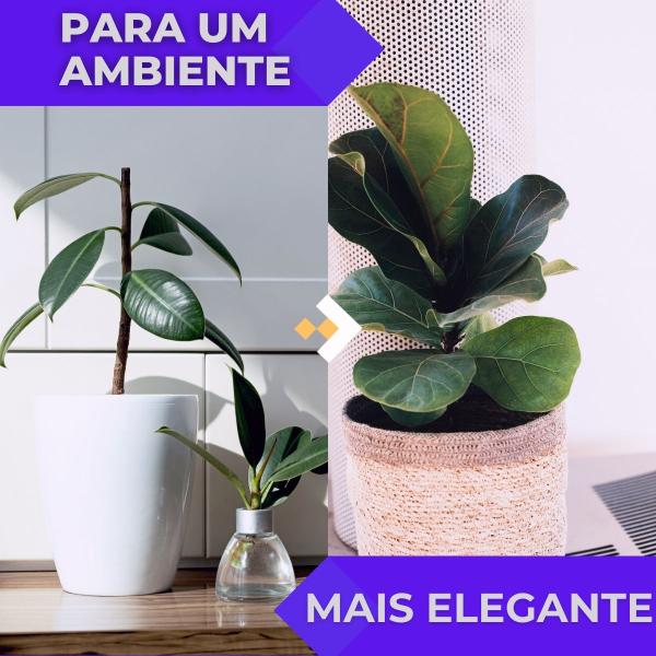 Imagem de Planta Artificial Ficus Sem Vaso Decoração Para Sala