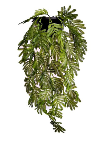 Planta Artificial Folhagem Verde Para Parede Vaso Meia Lua - Infinito Imagem de Planta Artificial Folhagem Verde Para Parede Vaso Meia Lua