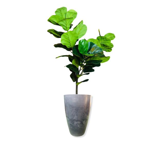 Imagem de Planta Artificial Grande Fícus Lyrata Outono Vaso Decorativo