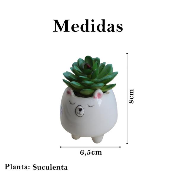 Imagem de Planta artificial suculenta cactos pequenas decoração casa