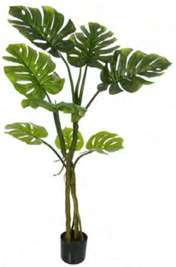 Planta Árvore Artificial Costela de Adão Real Toque Pu C/Pote Verde 1,30m - FLORESCER DECOR Imagem de Planta Árvore Artificial Costela de Adão Real Toque Pu C/Pote Verde 1,30m