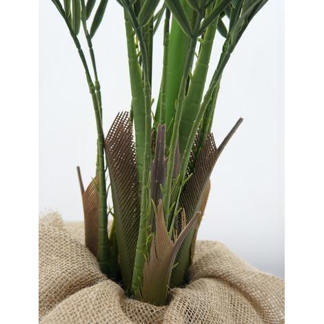 Imagem de Planta Árvore Palmeira Areca Folhagem Premium Para Decoração de Casa