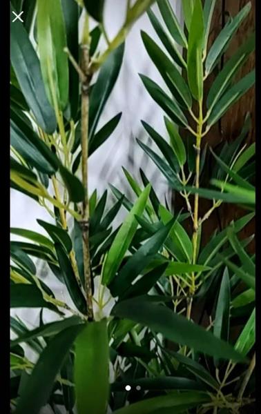 Imagem de Planta bambu artificial 1 MT de altura com 4 galhos o vaso não acompanha