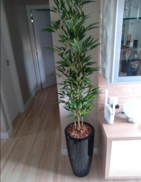 Imagem de Planta bambu artificial 5 hastes 1 mt/sem o vaso