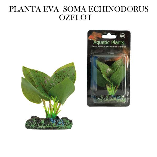 Imagem de Planta eva soma echinodorus ozelot 4cm