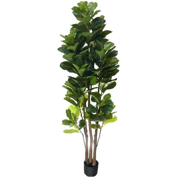 Imagem de Planta Ficus Lyrata 185cm Arvore Palmeira Grande Folhagem