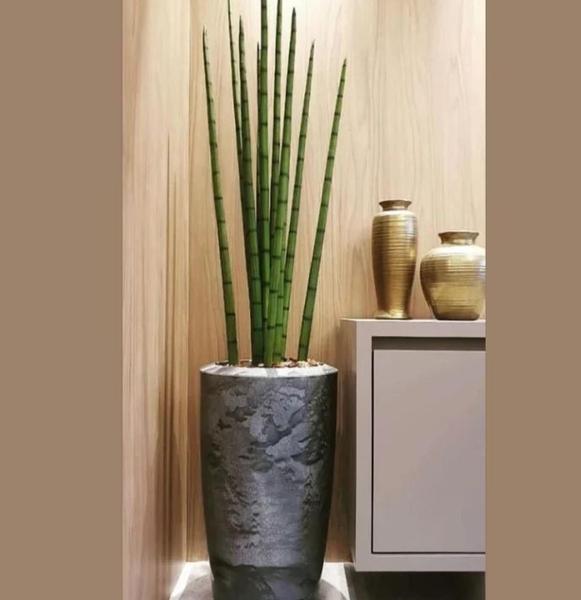 Imagem de Planta lança de São Jorge artificial 70cm sem o vaso