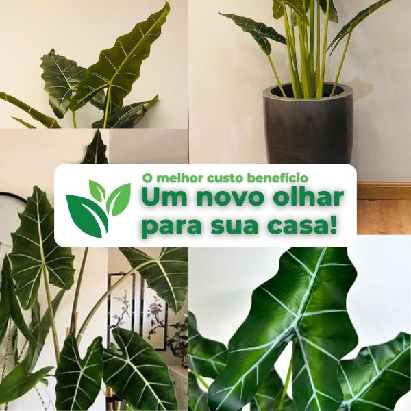 Imagem de  Planta Permanente Ramos Folhagem Artificial Alocasia 1,6m com Vaso