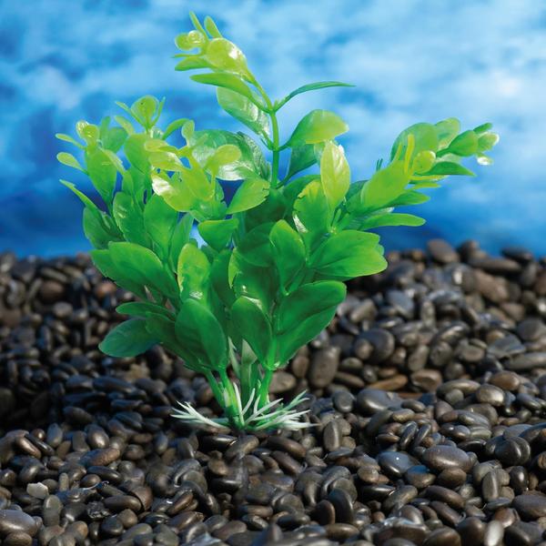 Imagem de Planta plastica soma economy 10cm verde(mod.404)