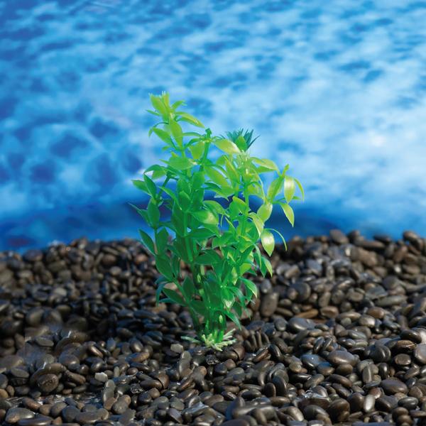 Imagem de Planta plastica soma economy 10cm verde(mod.432)