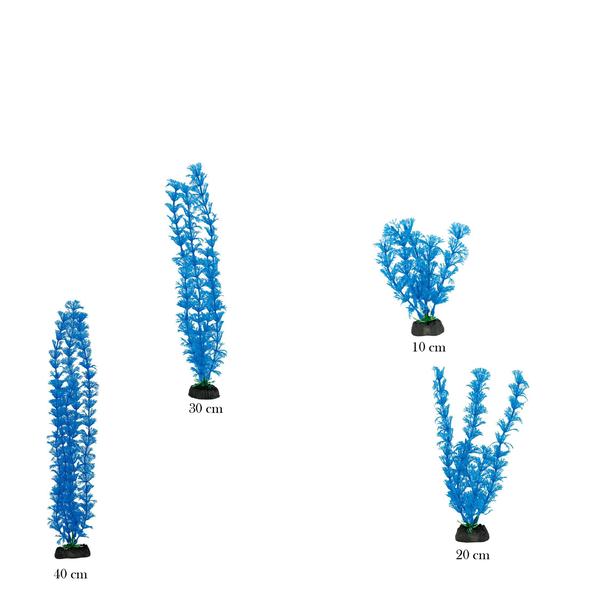 Imagem de Planta plastica soma economy 20cm azul(mod.872)