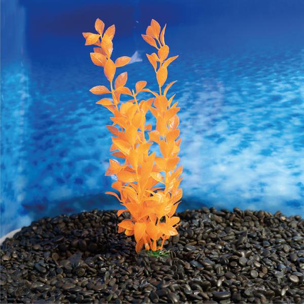 Planta plastica soma economy 30cm laranja(mod.874) Imagem de Planta plastica soma economy 30cm laranja(mod.874)