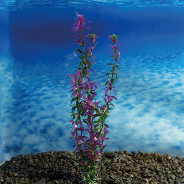 Planta plastica soma economy 30cm roxa(mod.433) Imagem de Planta plastica soma economy 30cm roxa(mod.433)