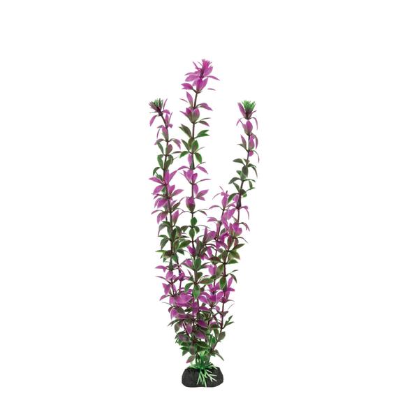 Planta plastica soma economy 30cm roxa(mod.433) Imagem de Planta plastica soma economy 30cm roxa(mod.433)