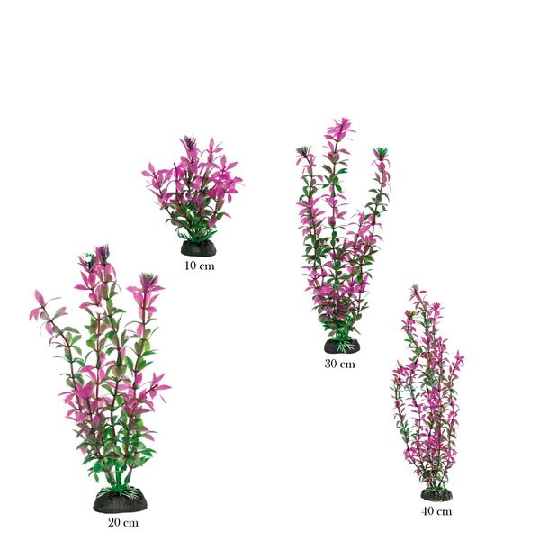 Planta plastica soma economy 30cm roxa(mod.433) Imagem de Planta plastica soma economy 30cm roxa(mod.433)