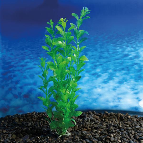 Planta plastica soma economy 30cm verde(mod.404) Imagem de Planta plastica soma economy 30cm verde(mod.404)