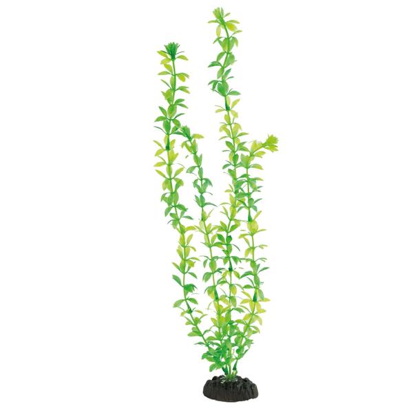 Planta plastica soma economy 40cm verde(mod.432) Imagem de Planta plastica soma economy 40cm verde(mod.432)