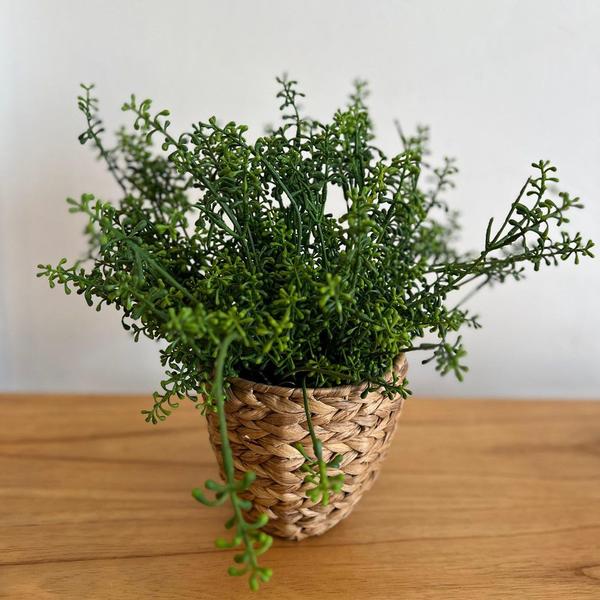 Imagem de Planta Sedum Verde Artificial Permanente 38cm Florarte