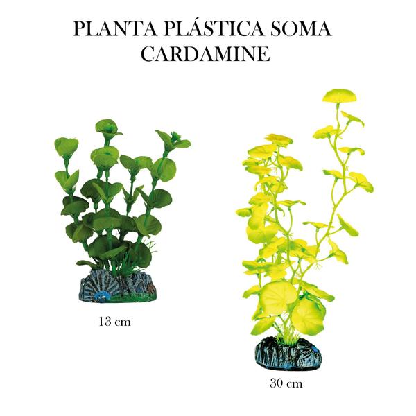 Imagem de Planta silk soma cardamine 30cm