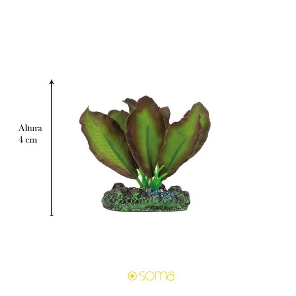 Imagem de Planta silk soma echinodorus verde vermelha 4cm