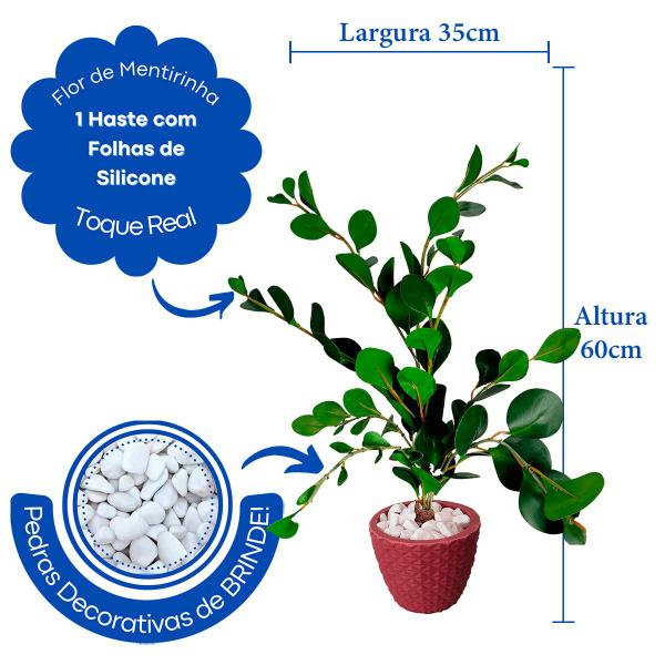 Imagem de Planta Zamioculca Suculenta Artificial Vaso Decoração Sala