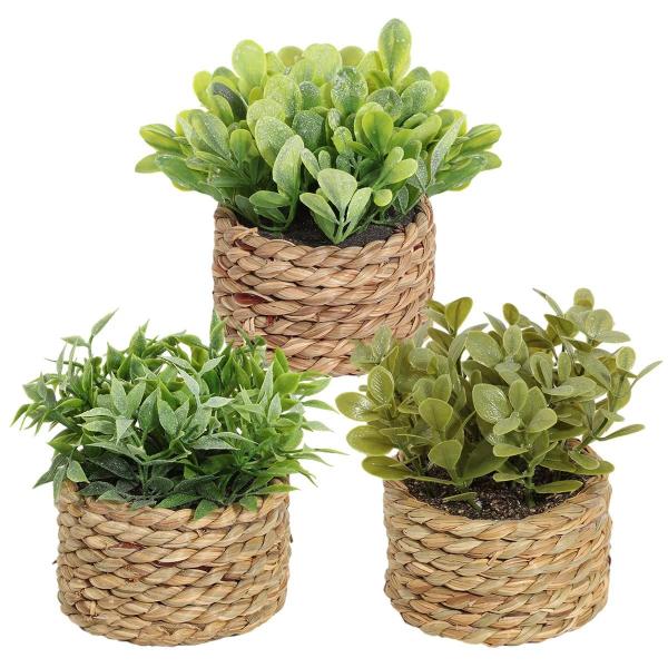 Imagem de Plantas Artificiais de Eucalipto Verde - 11cm - Decoração para Casa