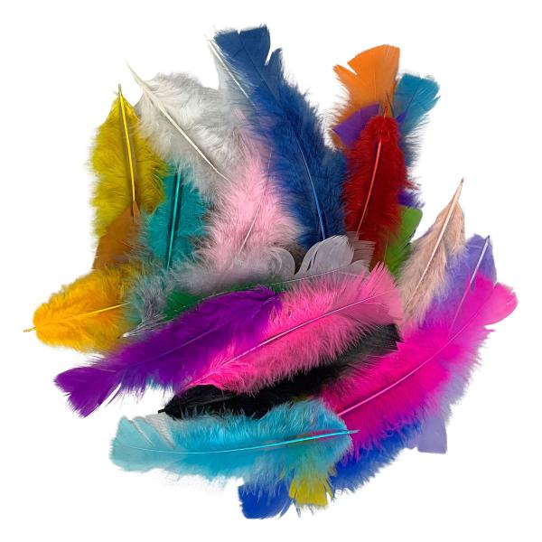 Imagem de Plumas e Penas Coloridas Artesanato 200 Unidades