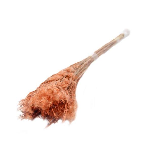 Pluminha Laranja Desidratado - Tem Flores Imagem de Pluminha Laranja Desidratado
