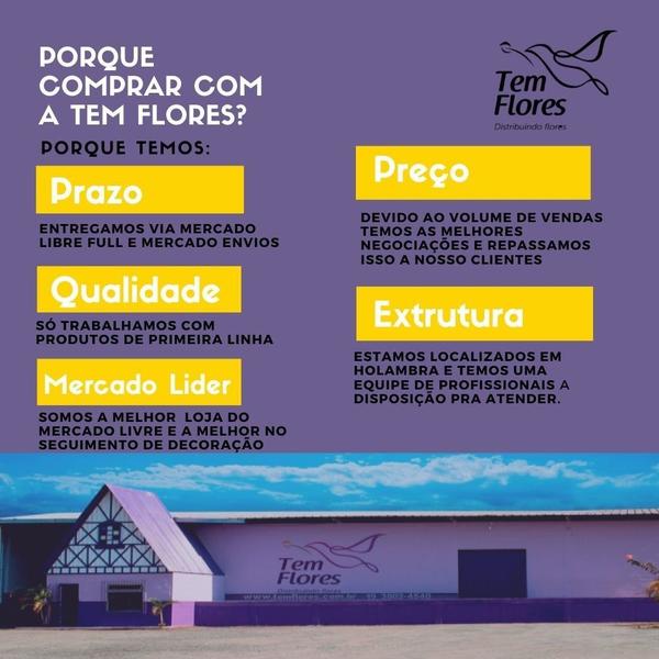 Pluminha Laranja Desidratado - Tem Flores Imagem de Pluminha Laranja Desidratado