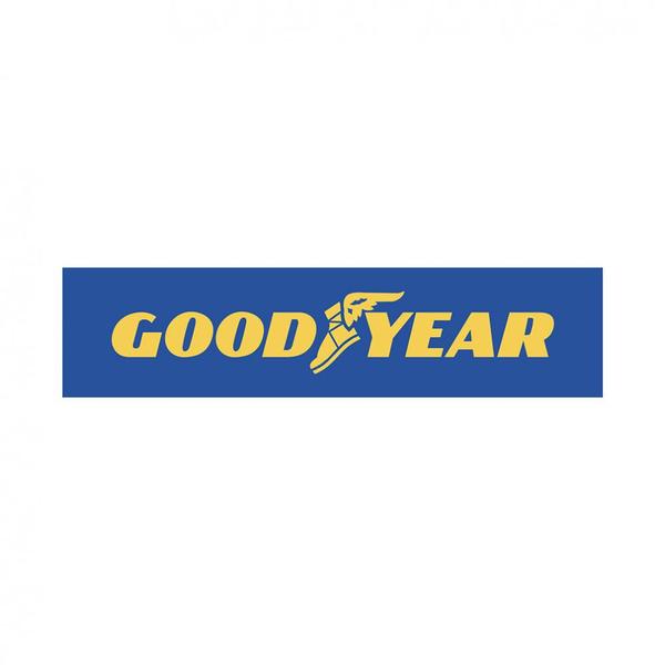 Imagem de Pneu Goodyear Aro 15 195/55R15 Efficientgrip Performance 85H